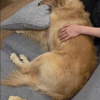 markくんとお兄ちゃんの再会6