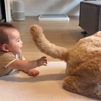 わたげちゃんと赤ちゃんのふれあい