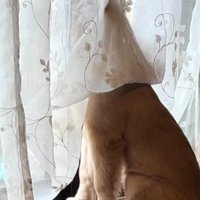 健気な後ろ姿が愛おしい…