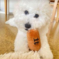 お顔が大きいむぎ君