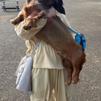 二度見してしまうママとだん君