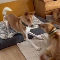 仲間と運動することも