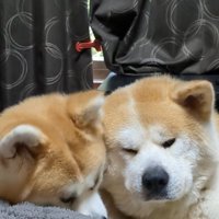 ひめちゃん＆まろ君