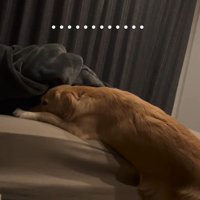 なかなか起きてくれない…