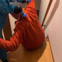 人間かと思いきや…？