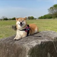 微笑み