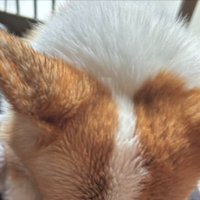散歩