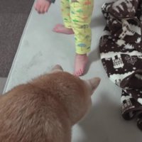 みーくんとの交流