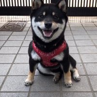 ニコニコ笑顔で歓迎！！