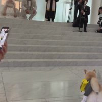 ピタリと停止