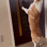 「まだかな？まだかな？」