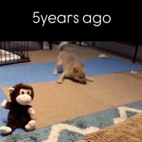 やっぱりマネしてくる！