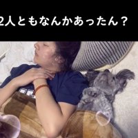 前足を胸元で曲げる犬
