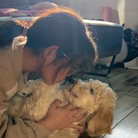 犬と見つめ合う女の子