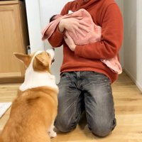 気を遣って自主的にお座り