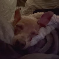 幸せそうな寝顔♡