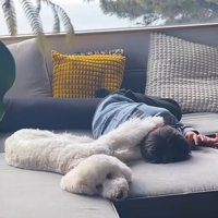 ソファに寝転がる男の子とそばに寄り添う犬