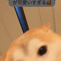 忠太くんの熱烈歓迎6