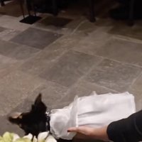 2度目のチャレンジ