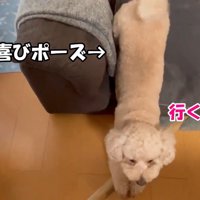 行く気満々！