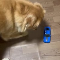 車のおもちゃで遊ぶことも