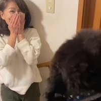 びっくりする投稿主さん