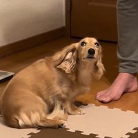 反省していることをアピール！
