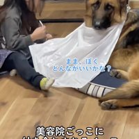 ちょっと困ってる？