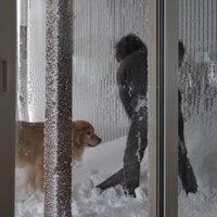 トイレが雪に埋もれてしまって困惑