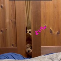 パパさんを心配するポポくん3