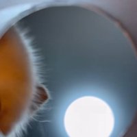 お菓子の筒の中からの眺め