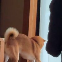 リクくんにハプニング発生6