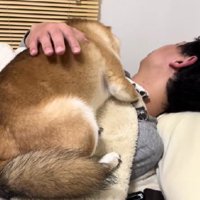 失敗に終わった