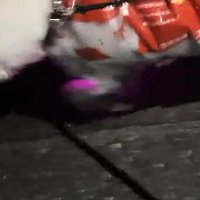 手作りレインコートを着せてみた