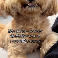 「怒ってるんだから…！」