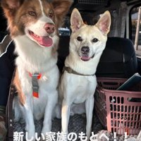 運命の家族と出会って…