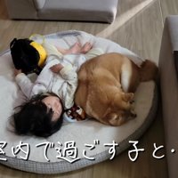 ひよりちゃんと仲良しに！！