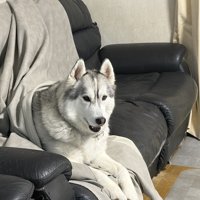 のんびり