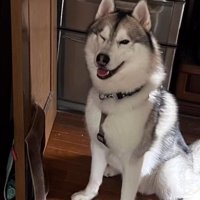 侵入失敗したようです…