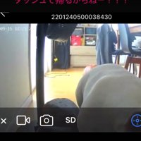 うつむく犬1