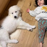 とと丸ちゃんと2歳の女の子