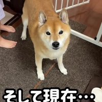 女の子に優しくなでられると…