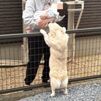 ご挨拶