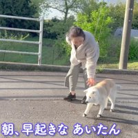穏やかな朝散歩