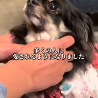 すっかり人懐こい犬に♪
