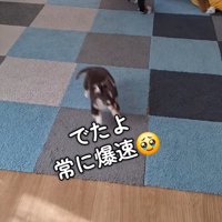 元気いっぱい♪