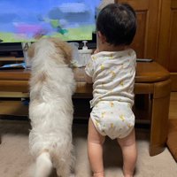 共に成長