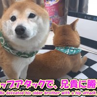 場所を奪い取ることに成功