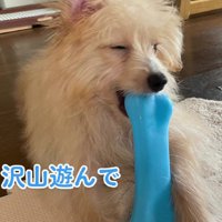 遊びもたくさんした