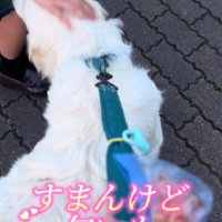 「ニオイも嗅いどこ」